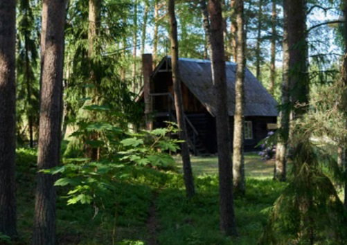 Natuurhuisje in Breda