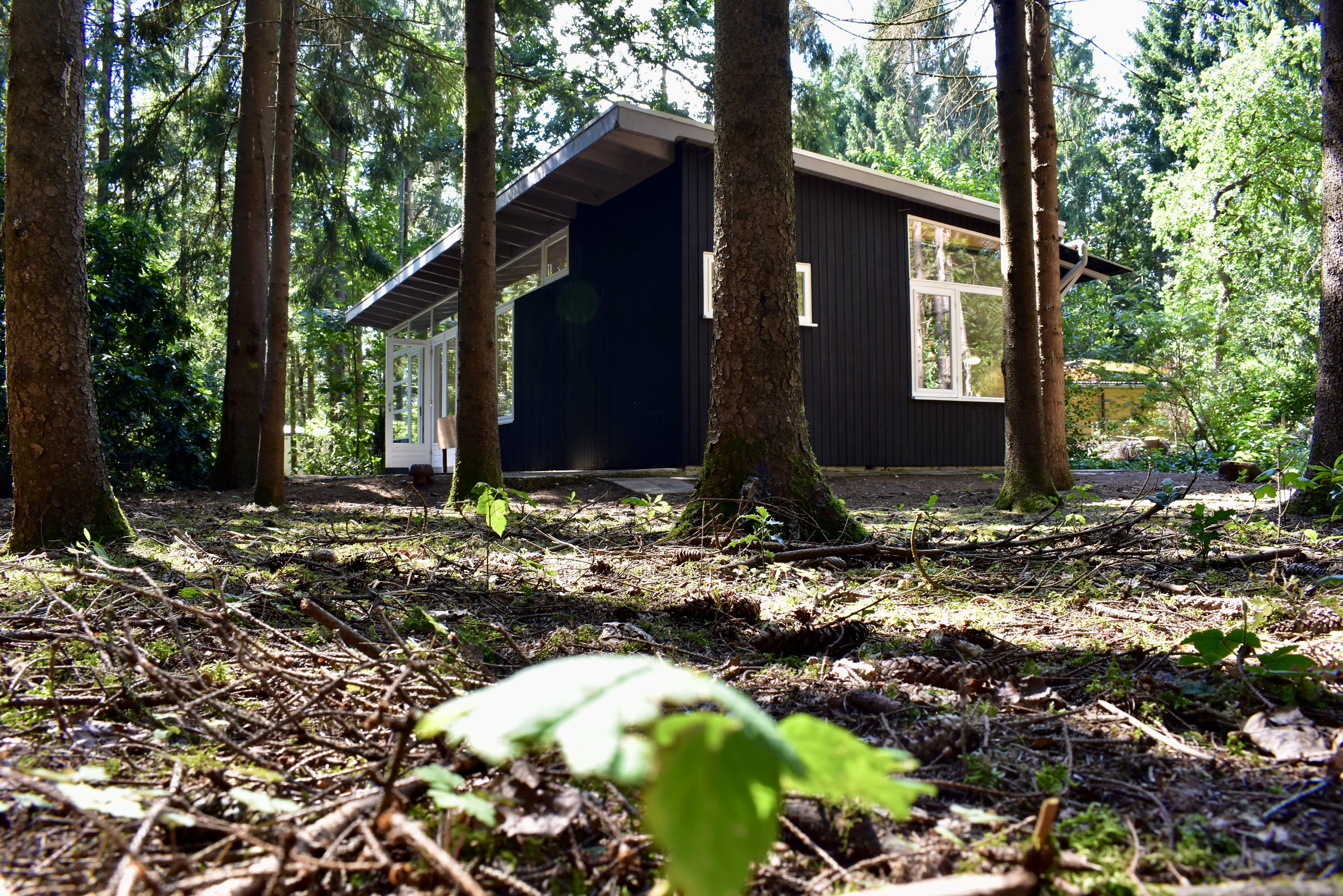 Natuurhuisje in 