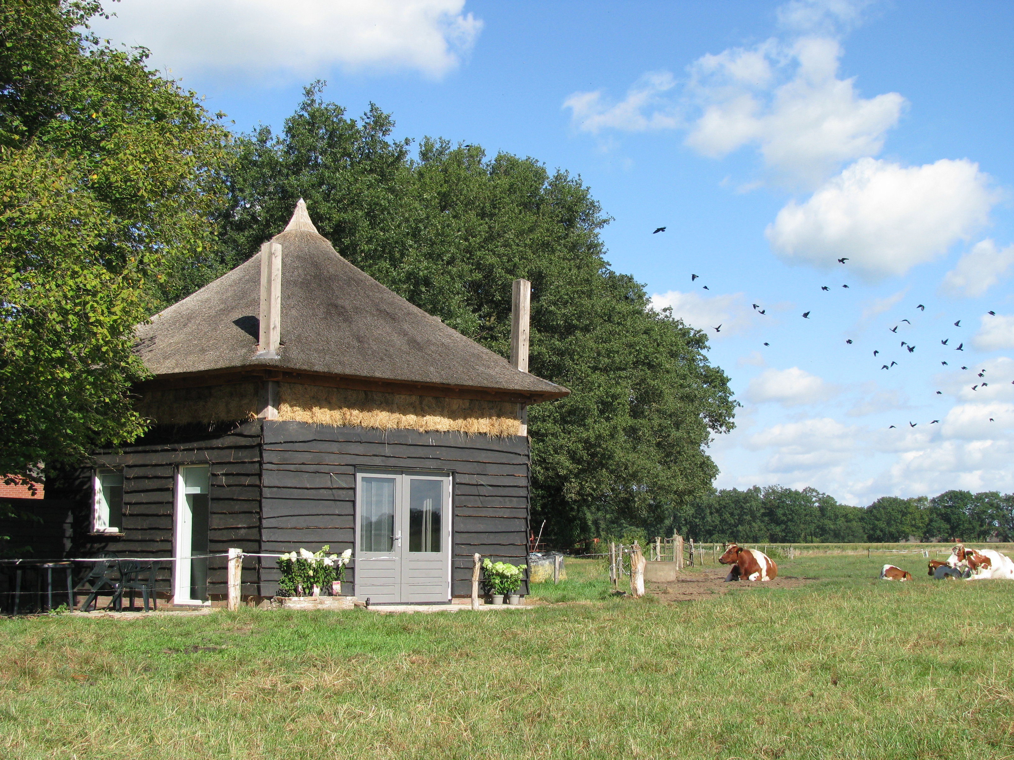 Natuurhuisje in 