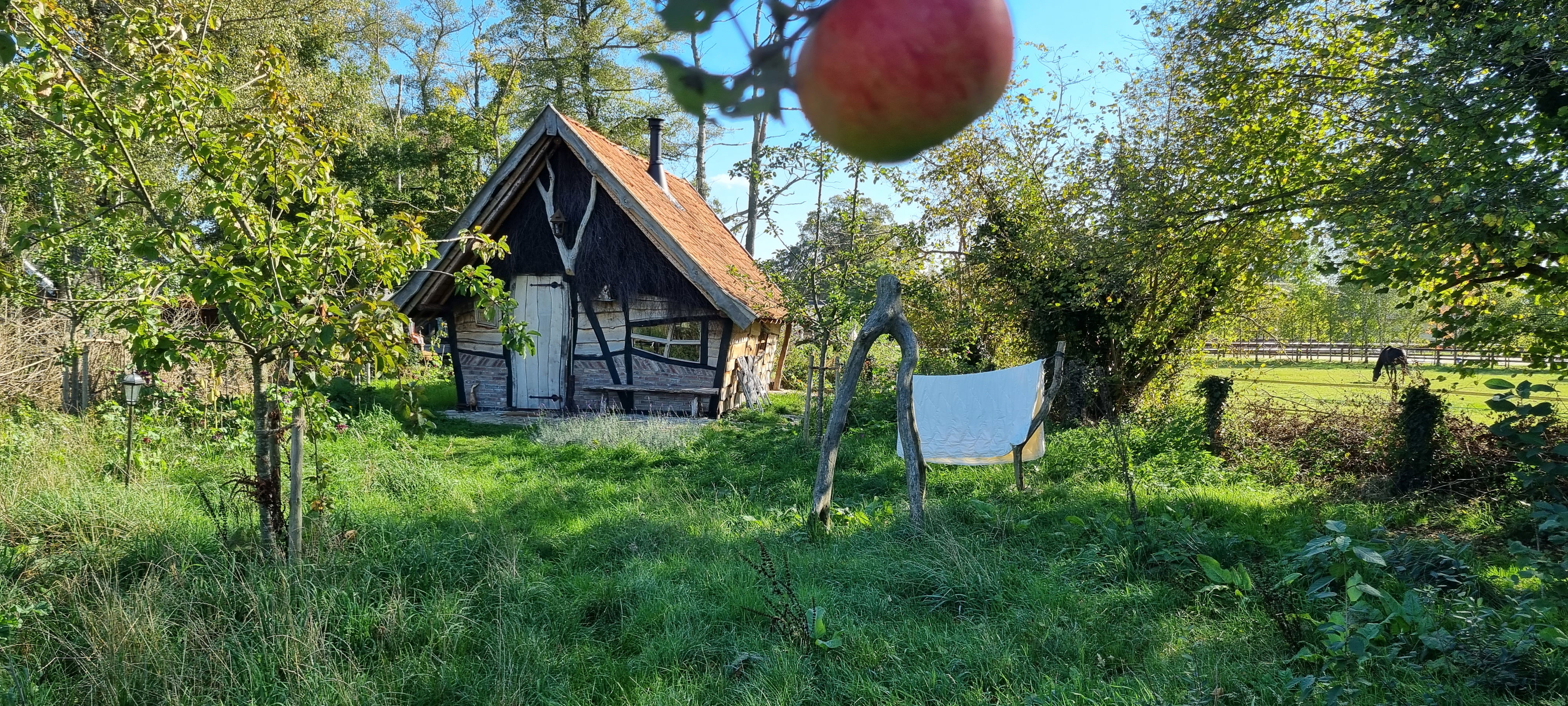 Natuurhuisje in 